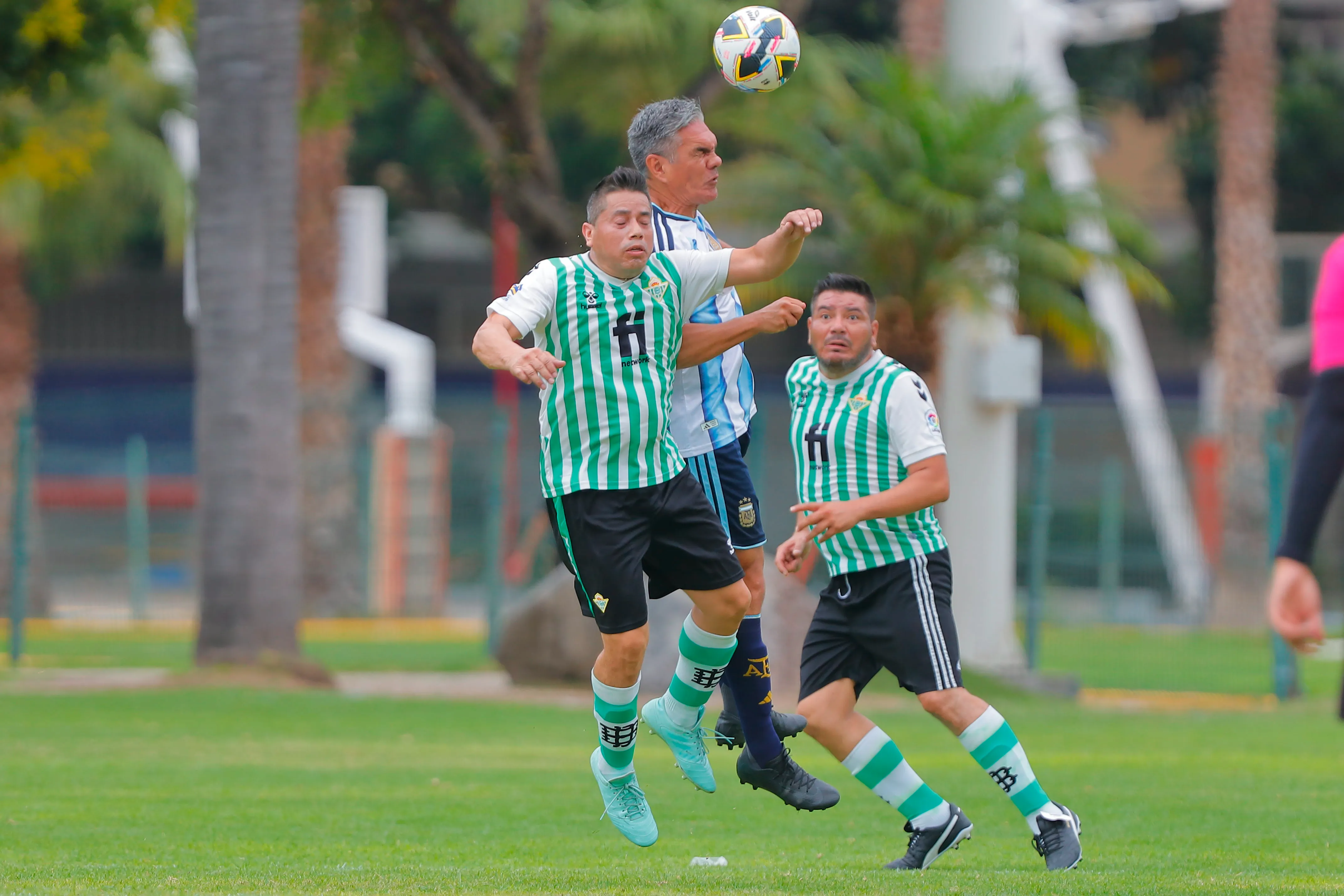 banner-partido