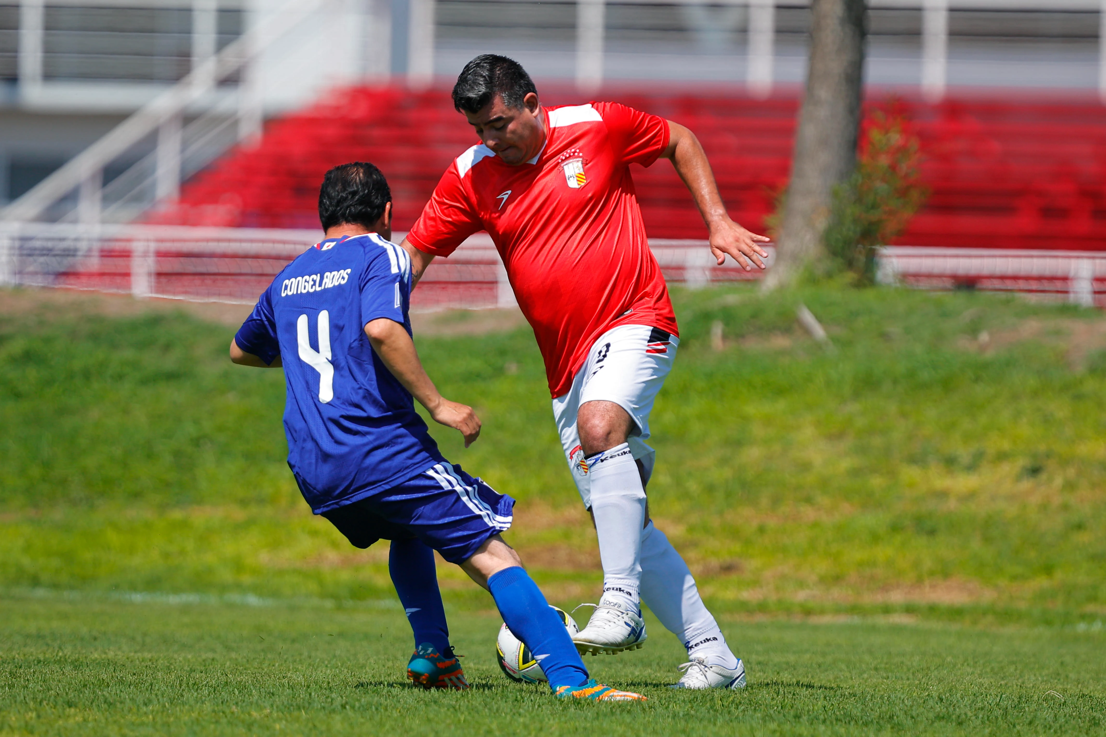 banner-partido