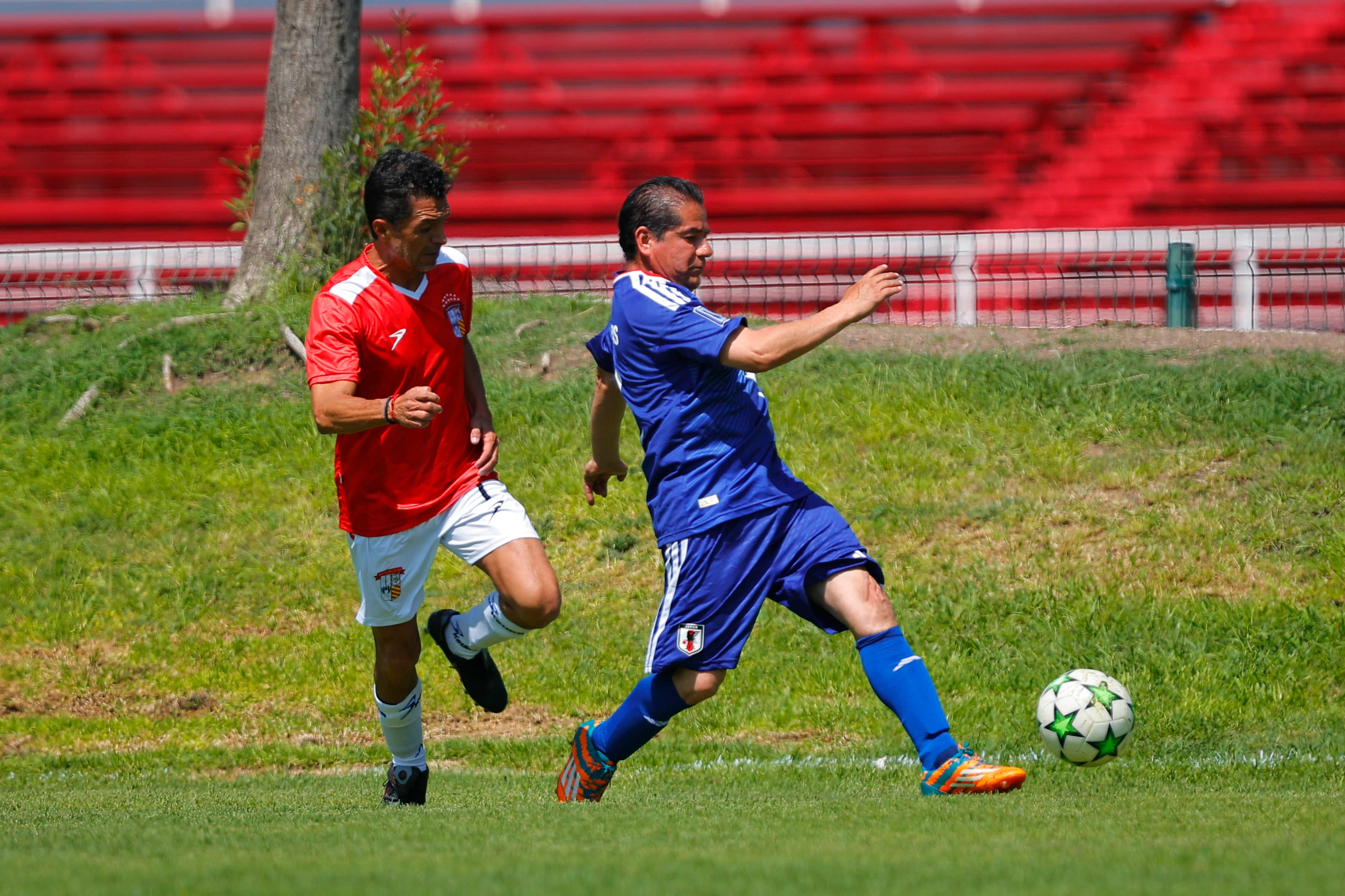 banner-partido
