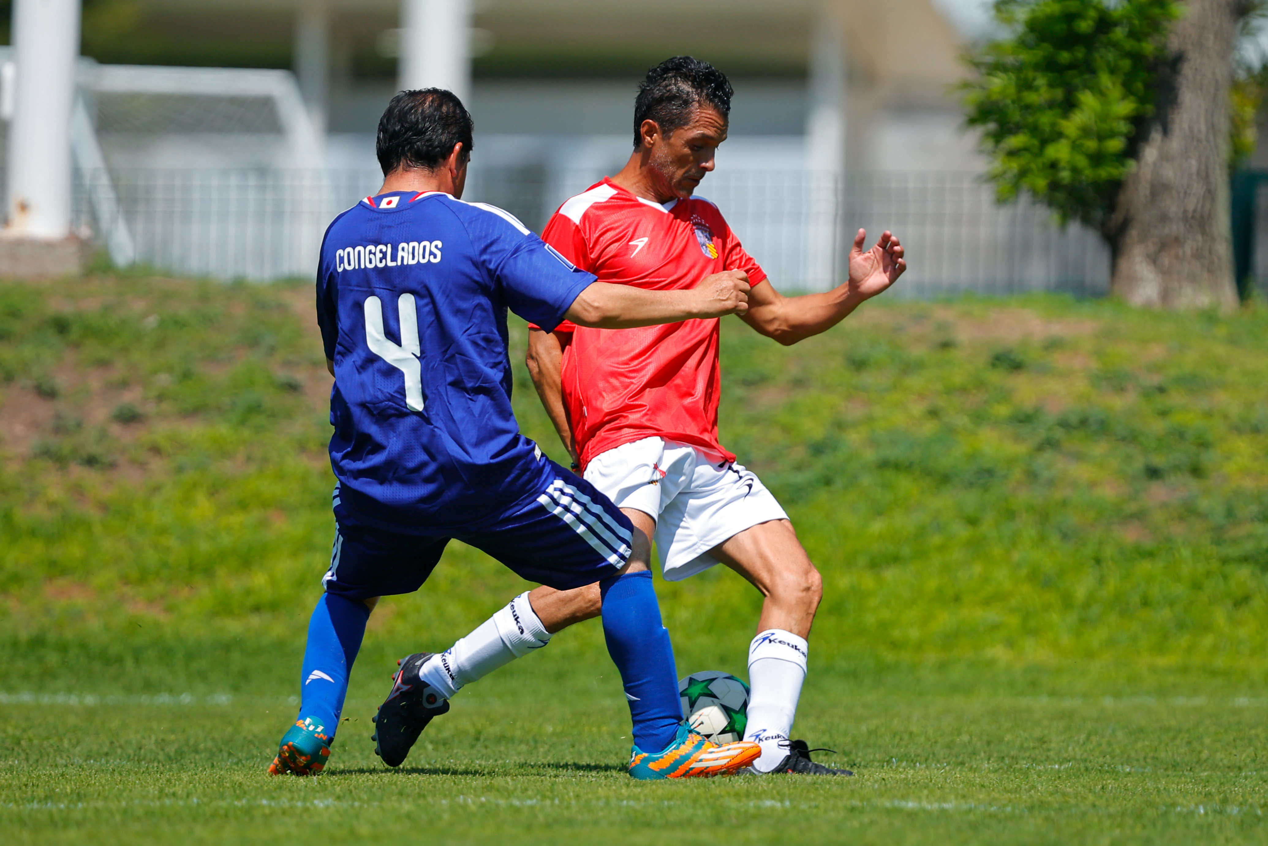 banner-partido
