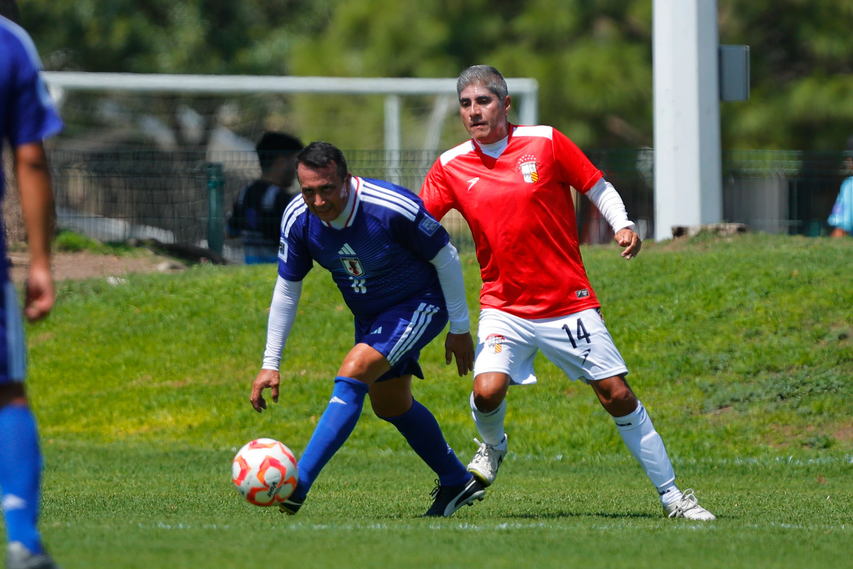 banner-partido