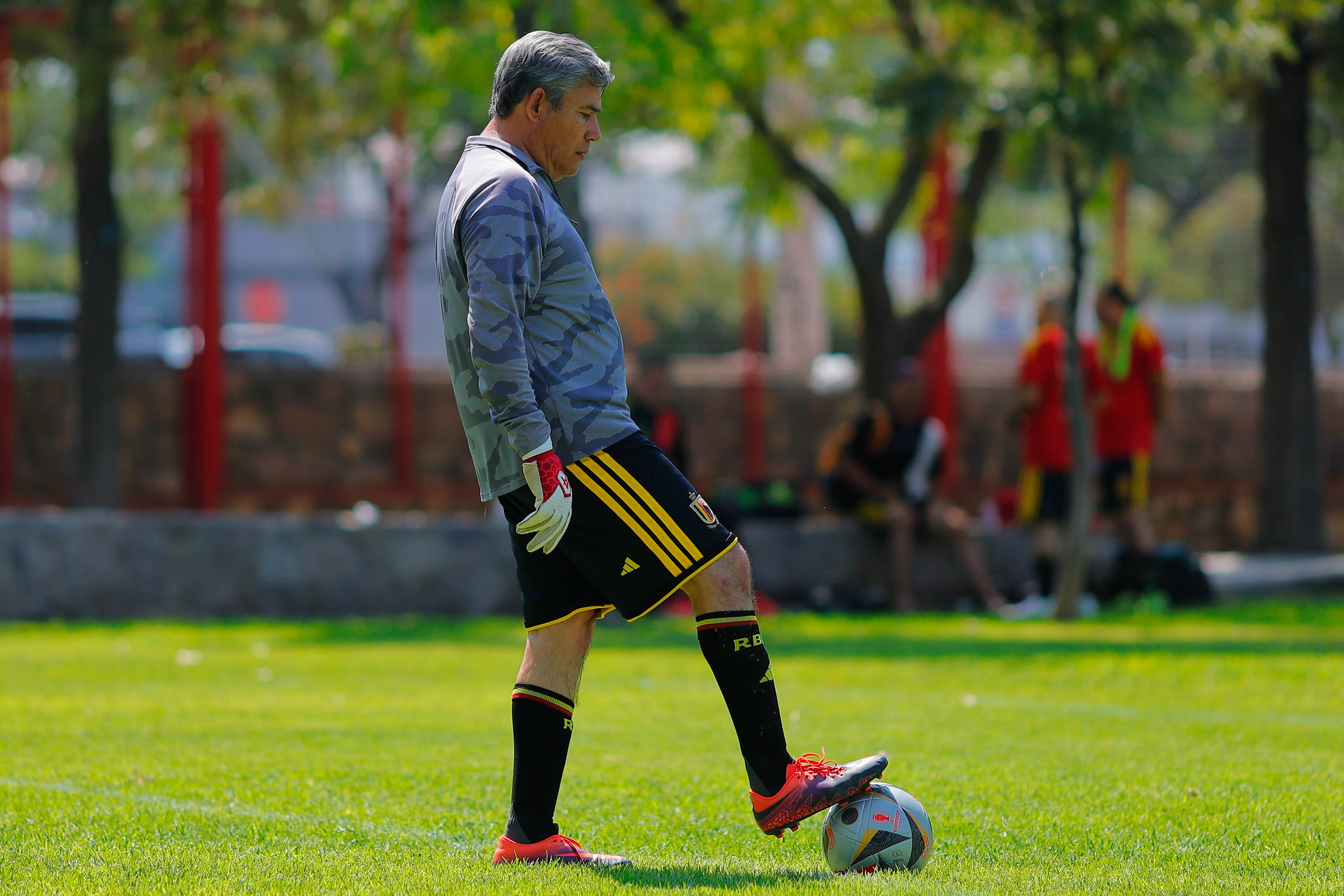 banner-partido