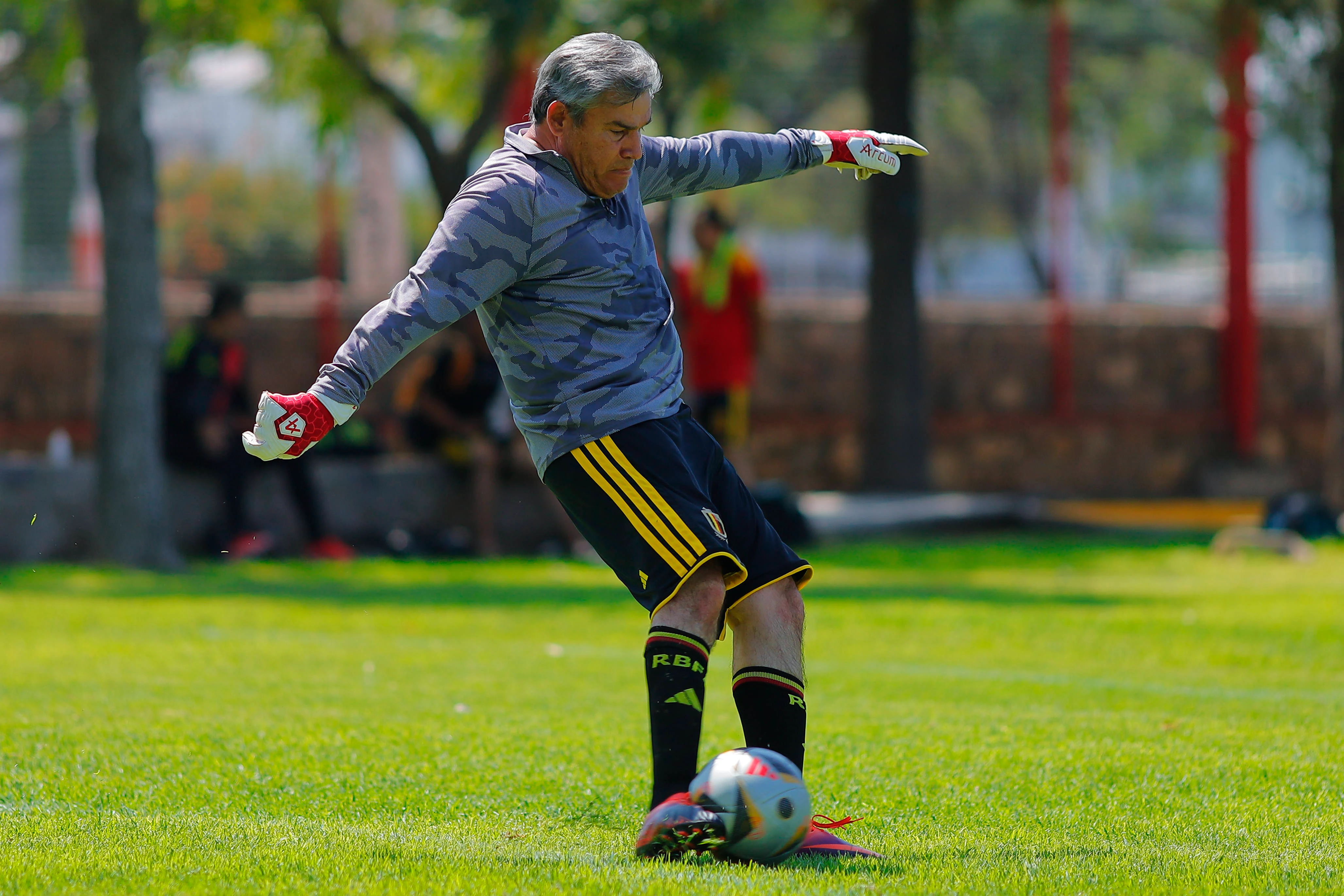banner-partido