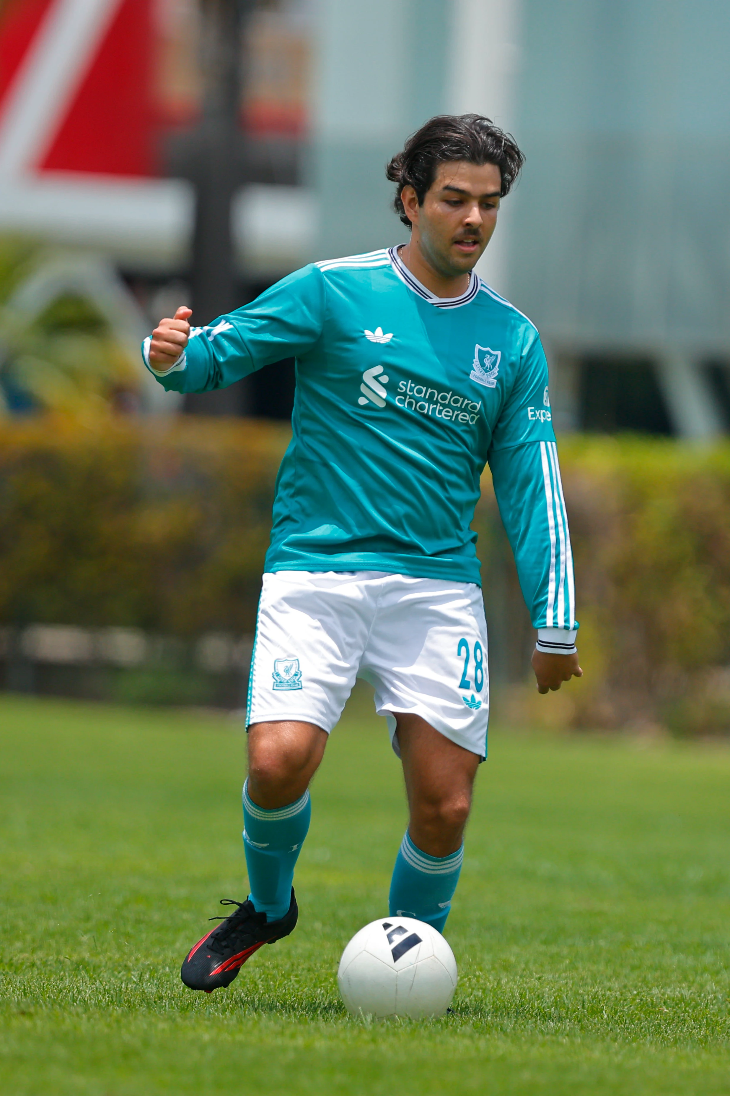 banner-partido