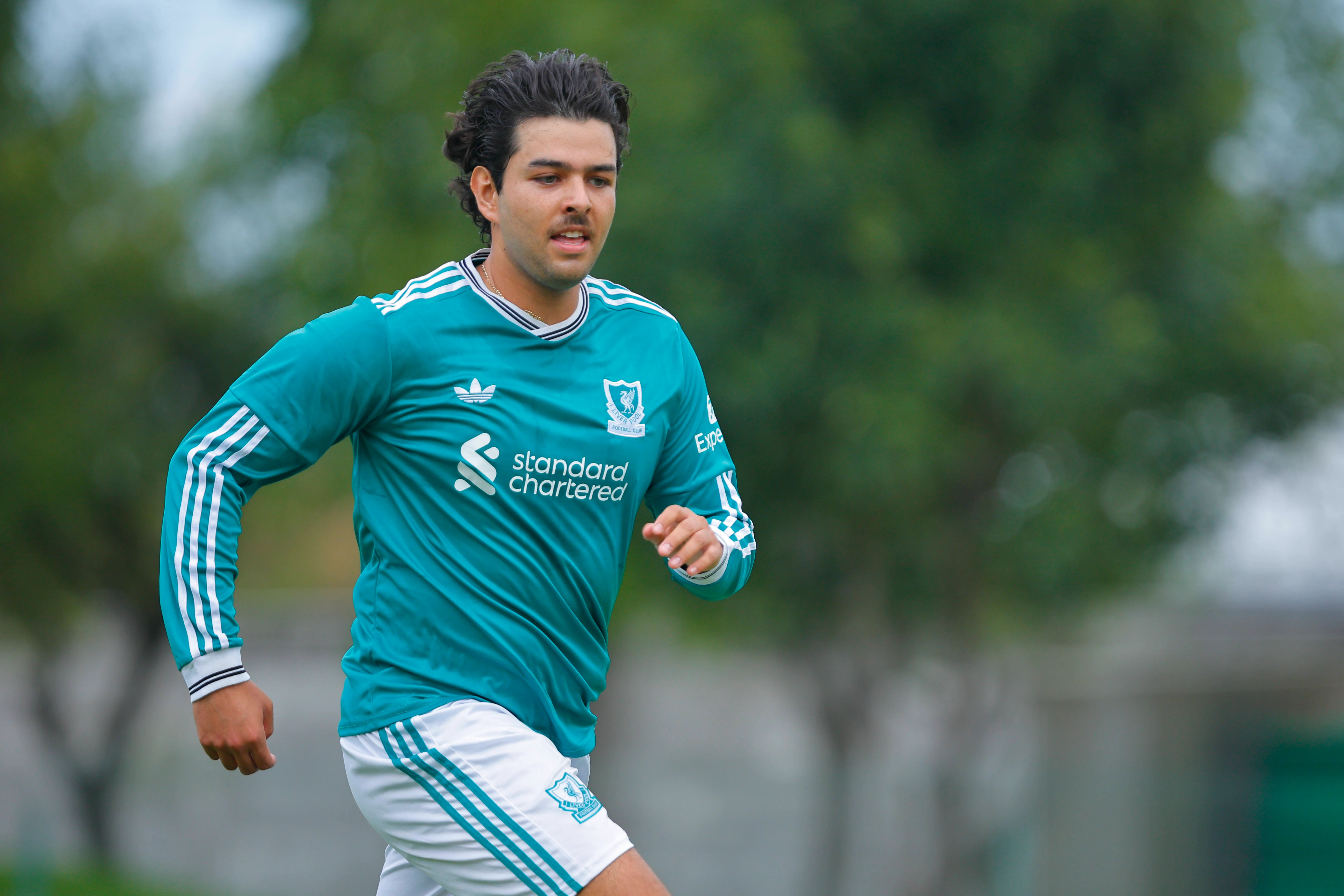banner-partido