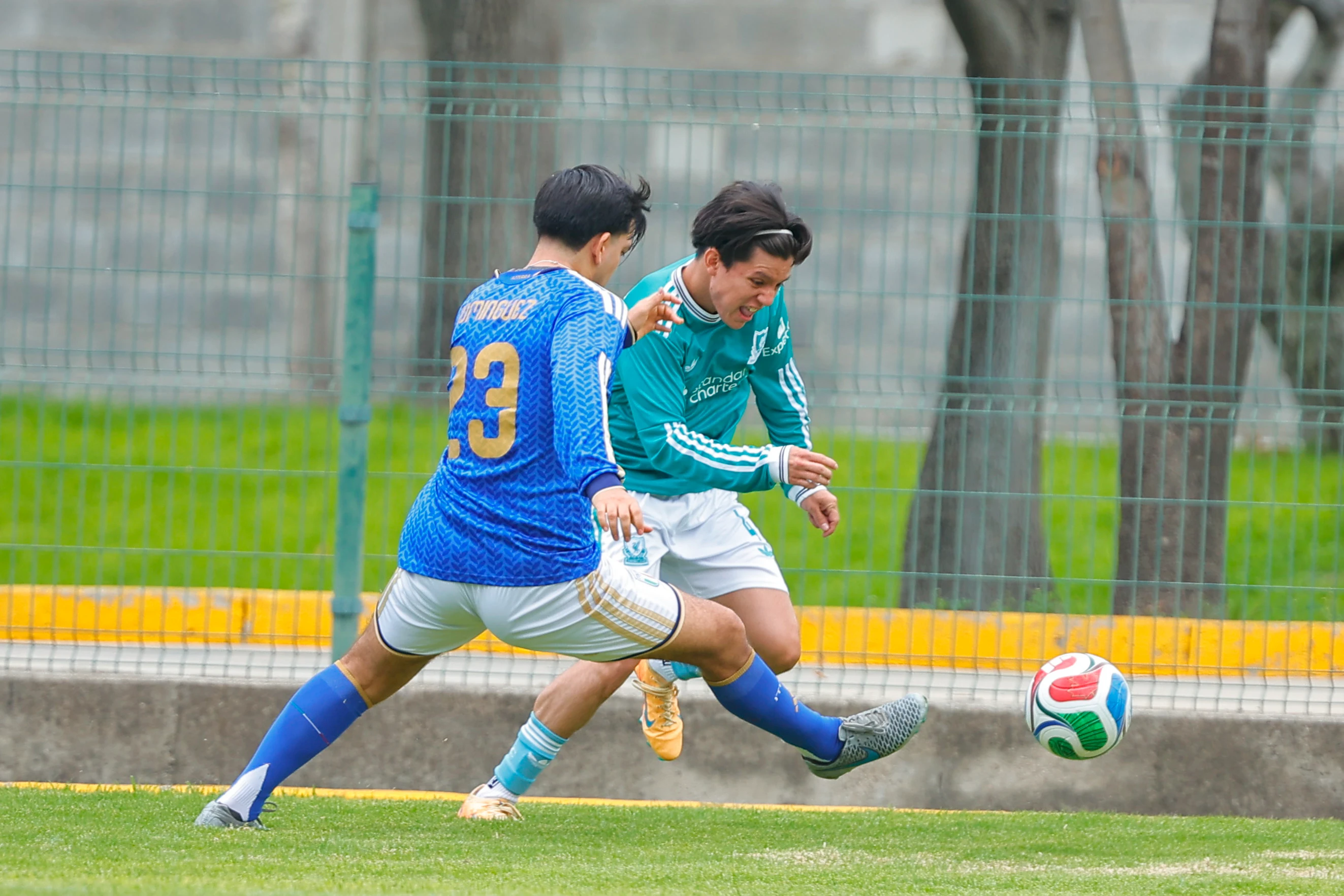 banner-partido