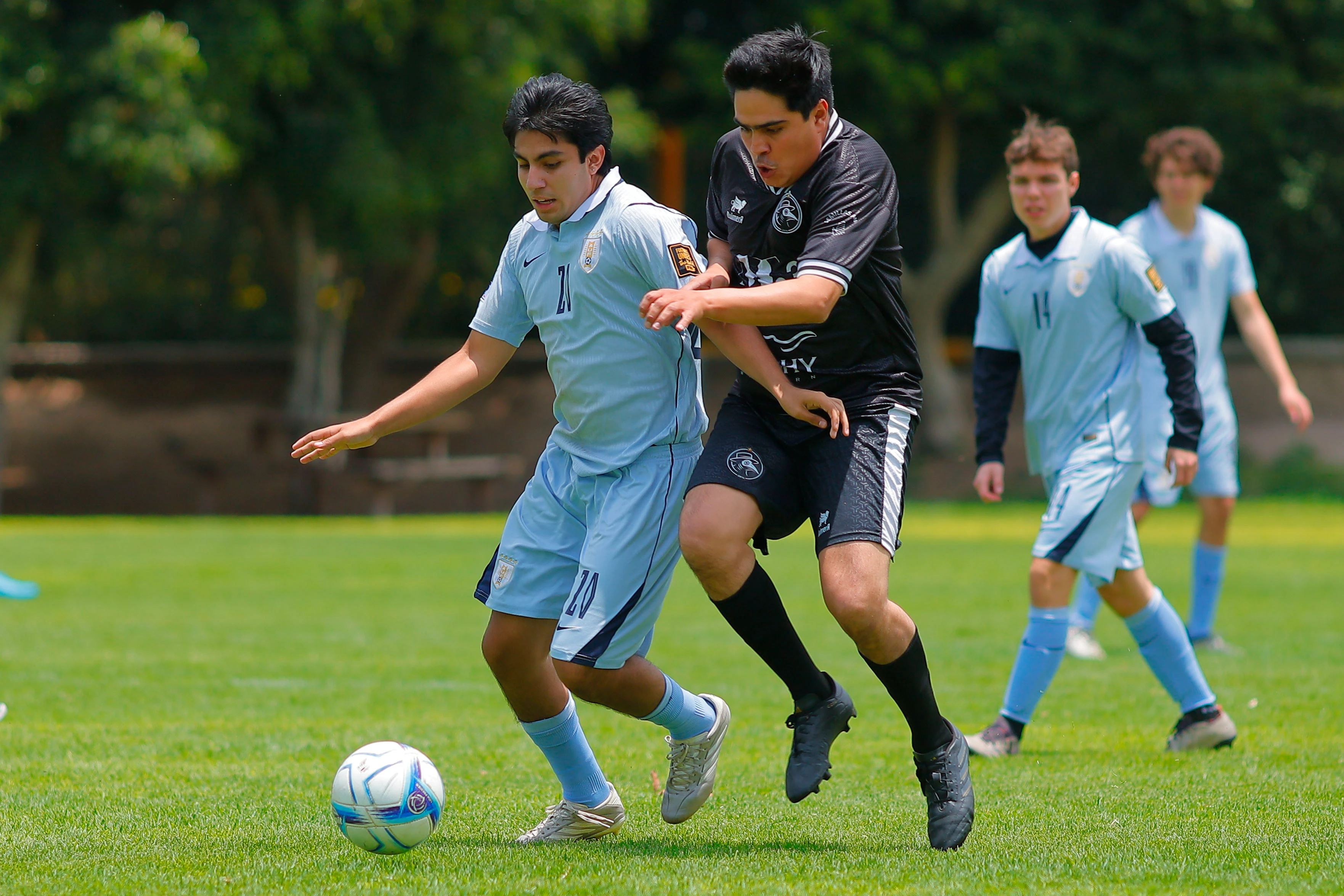 banner-partido