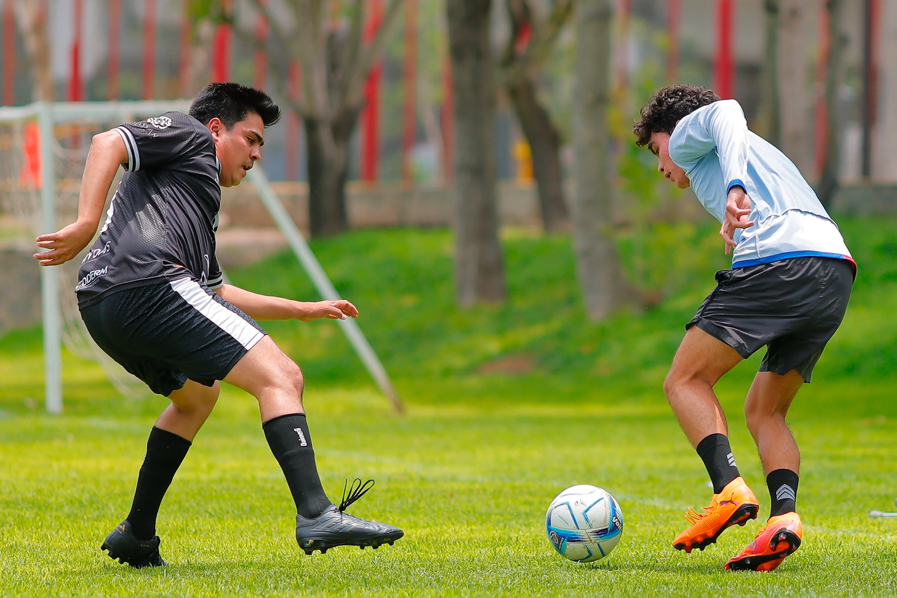 banner-partido